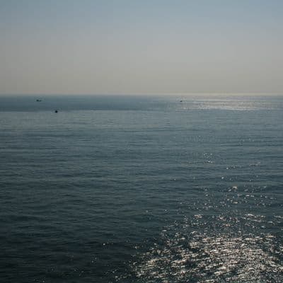 20241229 IMG 1823