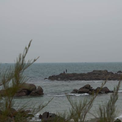 20241227 IMG 1745