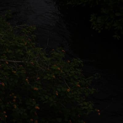 IMG 0583